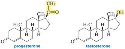 Biologically important ketones: progesterone and testosterone