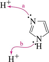 Imidazole basicity comparison