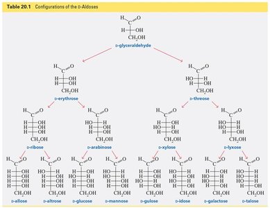 Table of D-aldose configurations