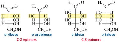 Examples of epimers among aldoses