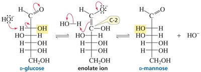 Epimerization between D-glucose and D-mannose