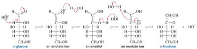 Enediol rearrangement mechanism