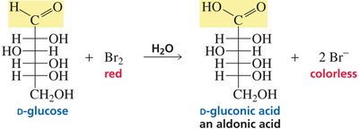 Oxidation of glucose to gluconic acid