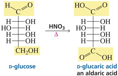Oxidation of glucose to glucaric acid