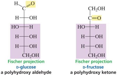 Fischer projections of D-glucose and D-fructose