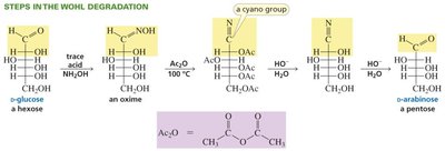 Steps in the Wohl degradation