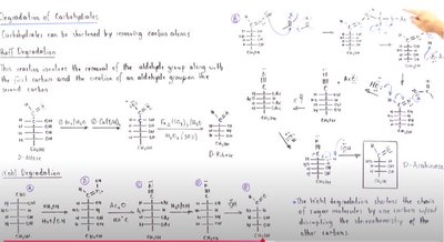 Handwritten Wohl degradation mechanism