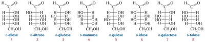 Structures of D-aldoses for Fischer proof
