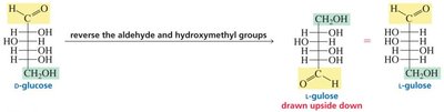 Structure of arabinose if glucose and mannose are sugars 3 and 4