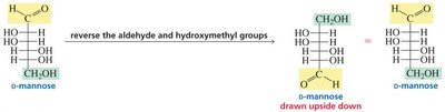 Structure of arabinose if glucose and mannose are sugars 5 and 6