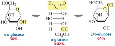 Fischer and Haworth projections of glucose
