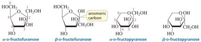 Haworth projections of ribose