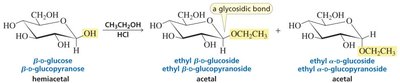 Formation of glycosidic bonds