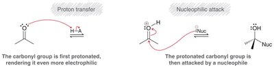 Nucleophilic addition mechanism with strong nucleophile