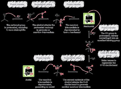 Base-catalyzed hydration mechanism