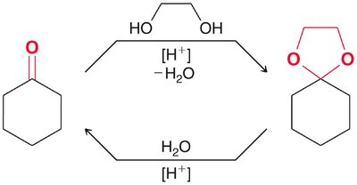 Imine and enamine formation mechanisms