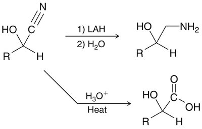 Wittig reaction overview