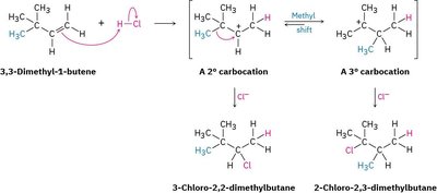 Carbocation rearrangement with methyl shift in 3,3-dimethyl-1-butene
