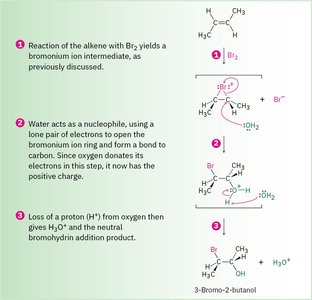 Mechanism of bromohydrin formation from alkene and Br2 in water
