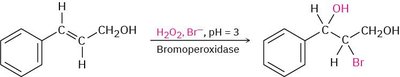 Halohydrin formation catalyzed by bromoperoxidase