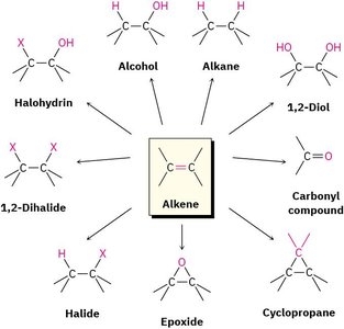 Summary of common alkene reactions and products