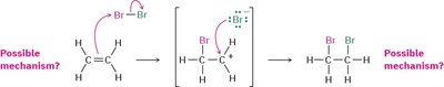 Possible mechanism for halogenation of alkenes