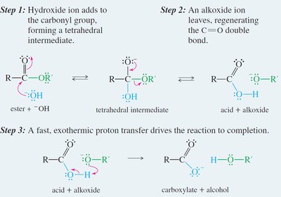 Detailed mechanism of nucleophilic acyl substitution
