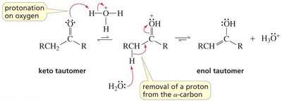 Acid-catalyzed keto-enol interconversion mechanism