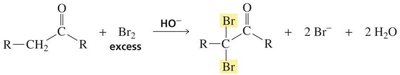 Base-promoted alpha-halogenation