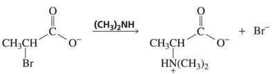 Substitution of alpha-brominated carbonyls with amines