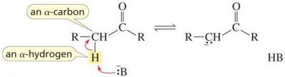 Deprotonation at the alpha-carbon and resonance stabilization