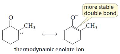 Thermodynamic enolate ion formation