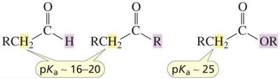 Relative acidity of alpha-hydrogens in carbonyl compounds