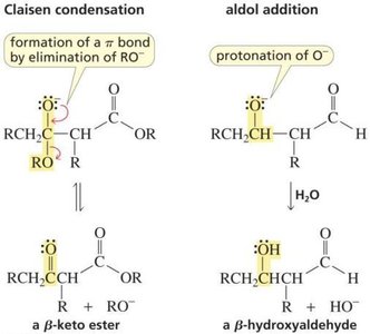 Comparison of Claisen condensation and aldol addition