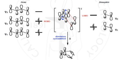 Meta relationship is forbidden in Diels-Alder products