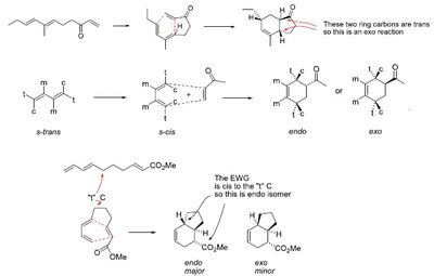 Thermal and photochemical transition state preferences
