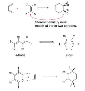 Diels-Alder stereochemistry and s-cis/s-trans conformations
