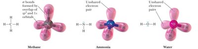 sp3 hybrid orbitals in methane, ammonia, and water