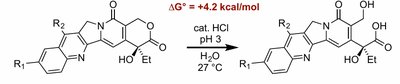 Lactone hydrolysis reaction with free energy change