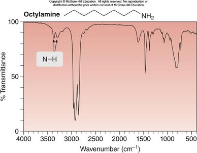 Octylamine IR spectrum