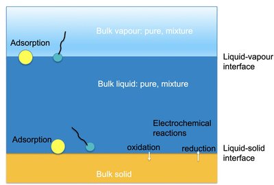 Diagram of adsorption and electrochemical reactions at interfaces