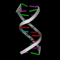 Estructura de ADN