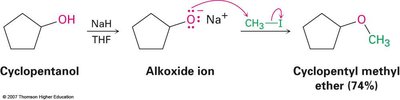 Williamson ether synthesis example