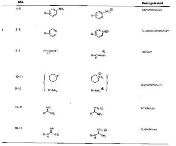 Table of common basic functional groups and their conjugate acids