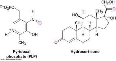 Structures of pyridoxal phosphate and hydrocortisone