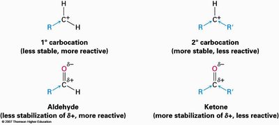 Comparison of reactivity and stabilization in aldehydes and ketones