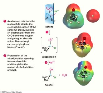 Mechanism of nucleophilic addition to a carbonyl group