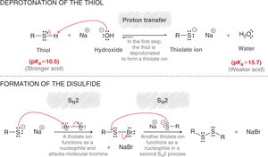 Mechanism of thiol deprotonation and disulfide formation