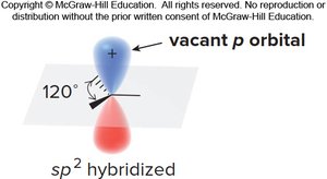 Vacant p orbital in sp2 hybridized carbocation