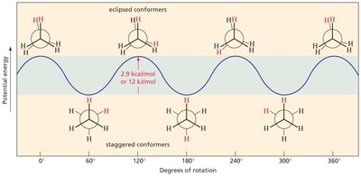 Potential energy diagram for ethane conformers